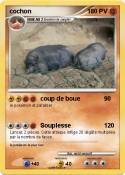 cochon