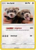 les furet