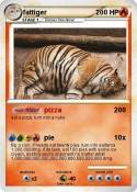 fattiger