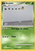 mur de photo