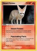 Desert Fennec