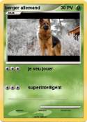 berger allemand