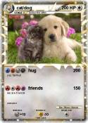 cat/dog
