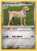 Dog Frah max