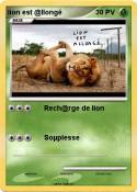lion est @llong