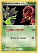 Zygard & volcan