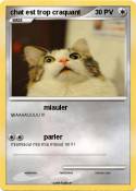 chat est trop