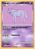 loup gris