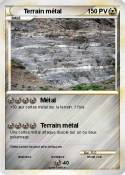 Terrain métal