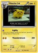 Pikachu Cat