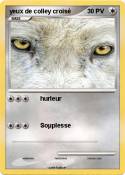 yeux de colley