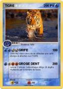 TIGRE
