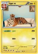 tiger ex