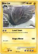 Slow Cat