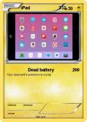 iPad 333