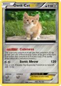 Dank Cat