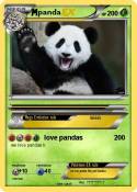 panda