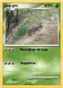 loup gris