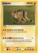Guépard