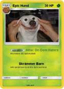 Epic Hund