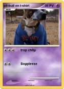 pit-bull en t-s