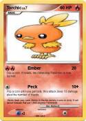 Torchic