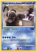 Puppy Monkey