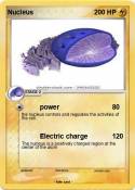 Nucleus