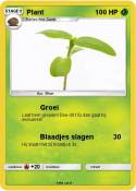 Plant