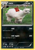 llama