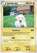 thonder dog