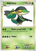 Solid Snivy