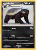 honey badger