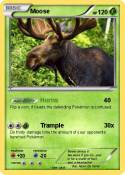 Moose