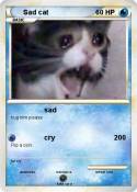 Sad cat