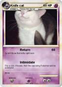 Knife cat
