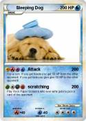 Sleeping Dog