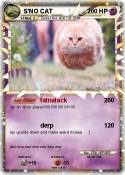 S'NO CAT