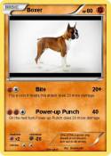 Boxer