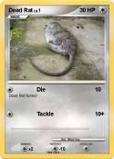 Dead Rat