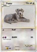 Puppy