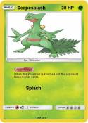 Scepesplash