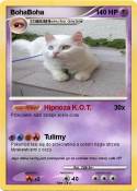 BohaBoha