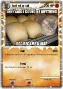 loaf of a cat
