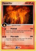 Forest Fire
