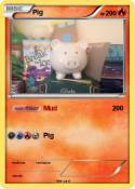 Pig