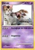 chat ailé