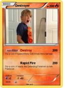 Destroyer