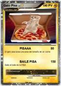 Gato Pisa