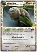Water Bear